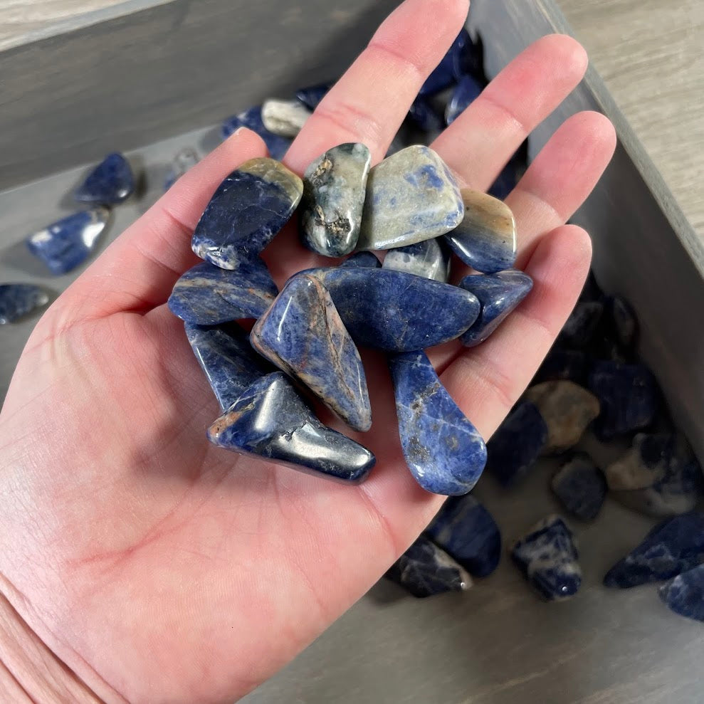 Sodalite Tumbled Stones 1 lb – Wholesale Bulk Crystal Lot