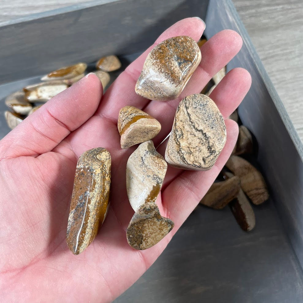 picture jasper tumbled stones bulk 1 lb