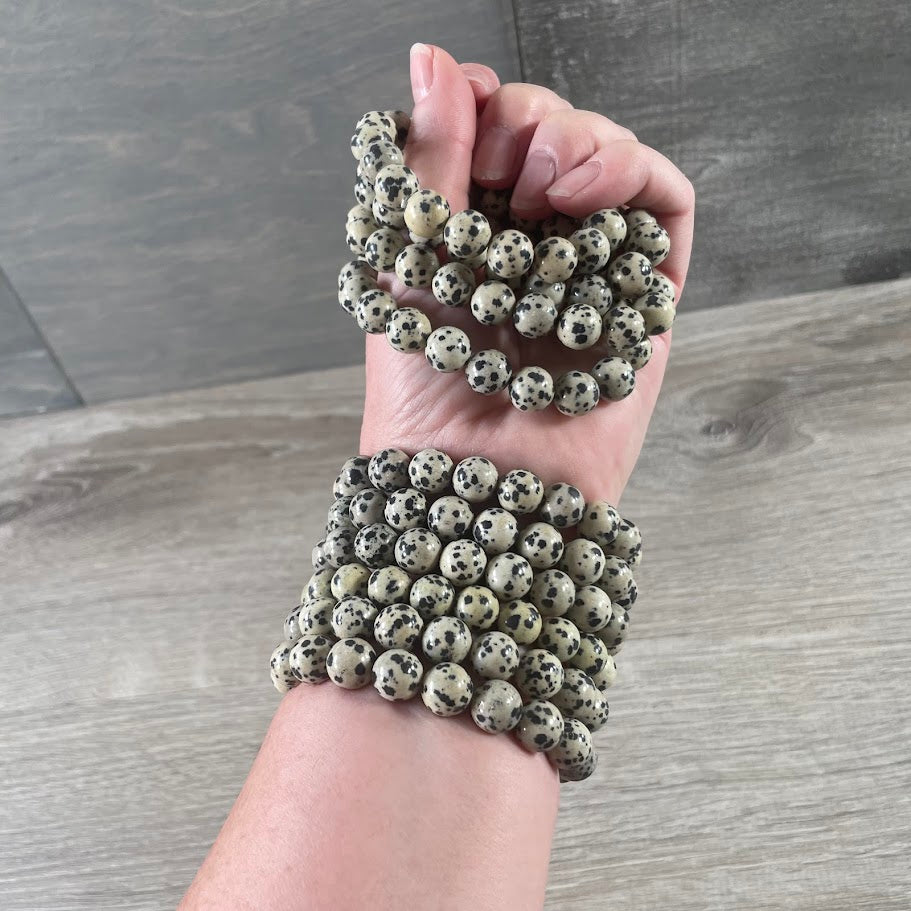 Dalmatian Jasper 10mm gemstone beaded bracelet wholesale jewelry