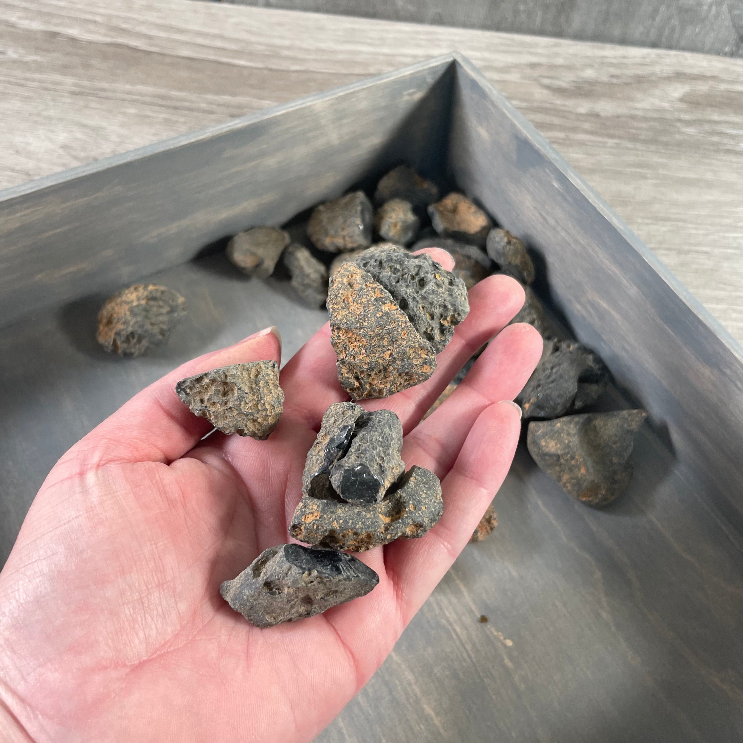 Buy Rough Tektites Wholesale