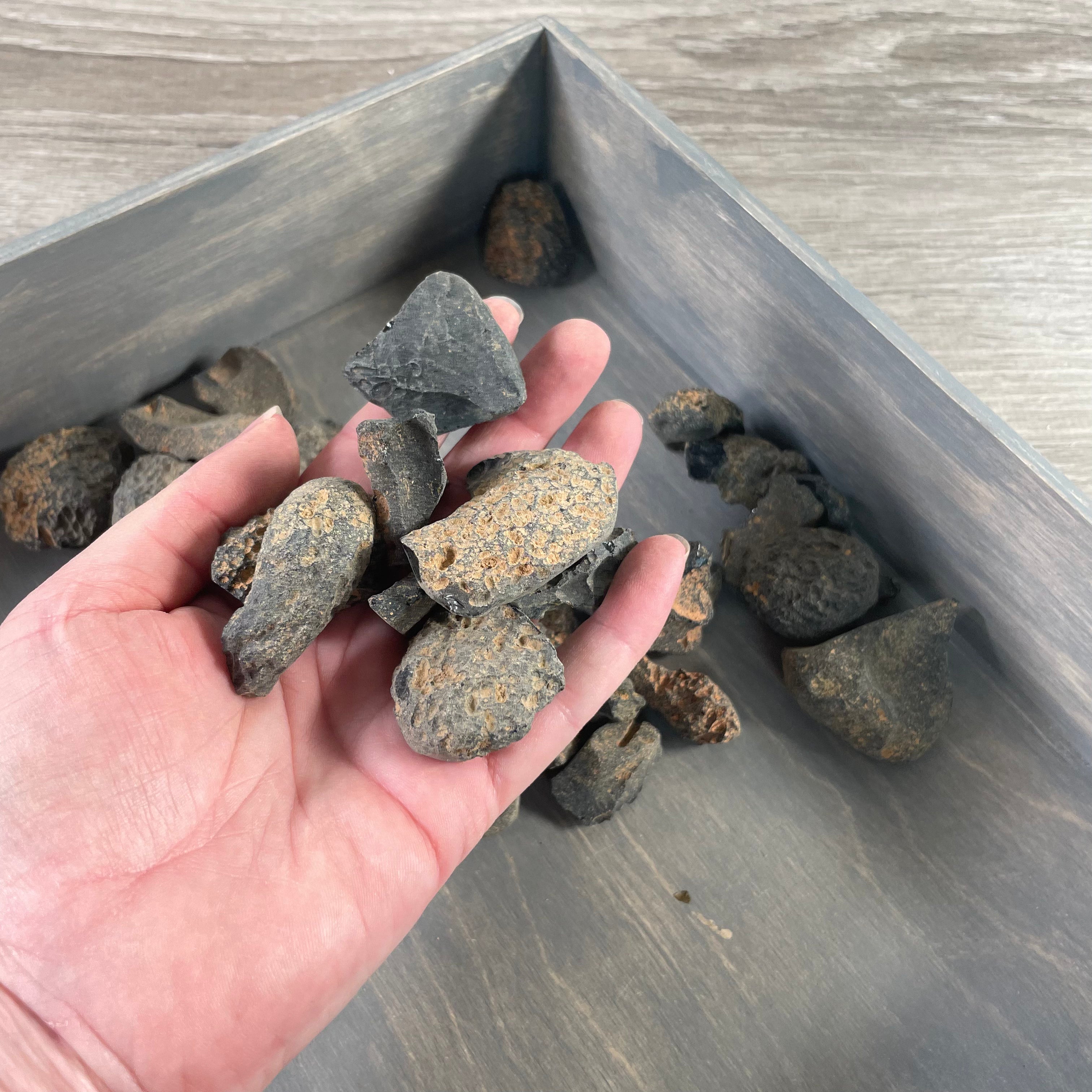 Natural rough tektites sold by the pound