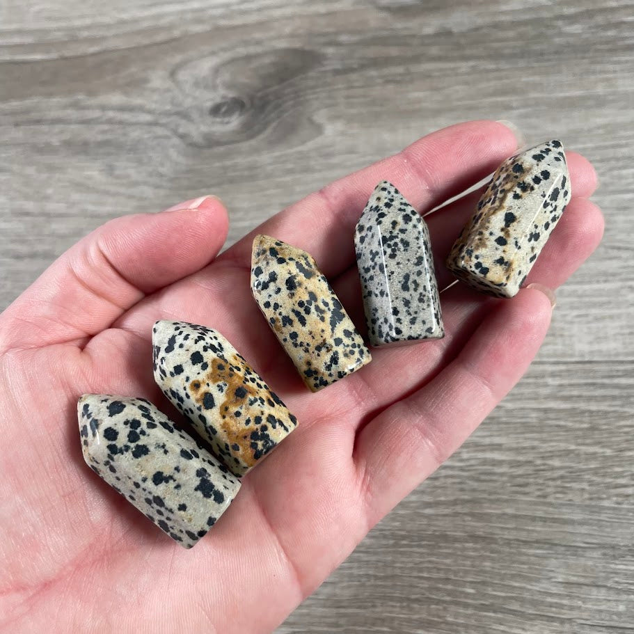 Dalmation Jasper small chubby crystal tower