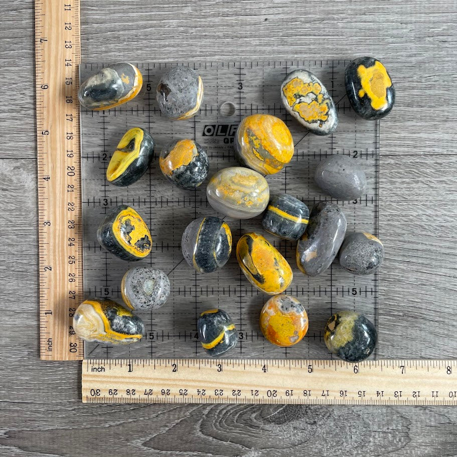Bumblebee Jasper tumbled crystal bulk for shops and resellers