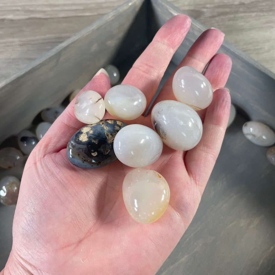 Retail-ready dendritic agate polished stones wholesale