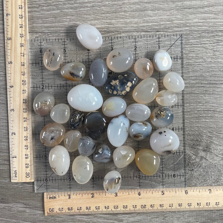 Dendritic Agate Tumbled Stones Wholesale – 1 LB Bulk Lot