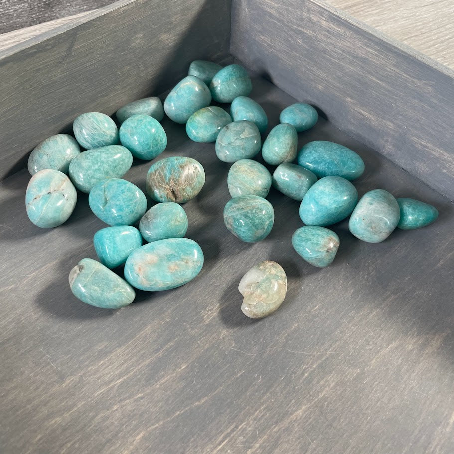 Amazonite Tumbled Stones - 1 lb Bulk Healing Crystals