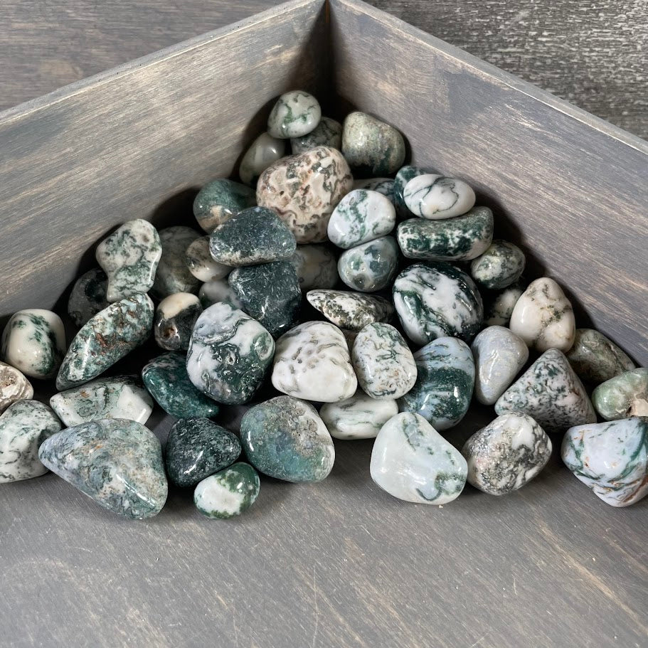 Tree Agate Tumbled Stones – 1 lb Bulk Wholesale Crystal Lot