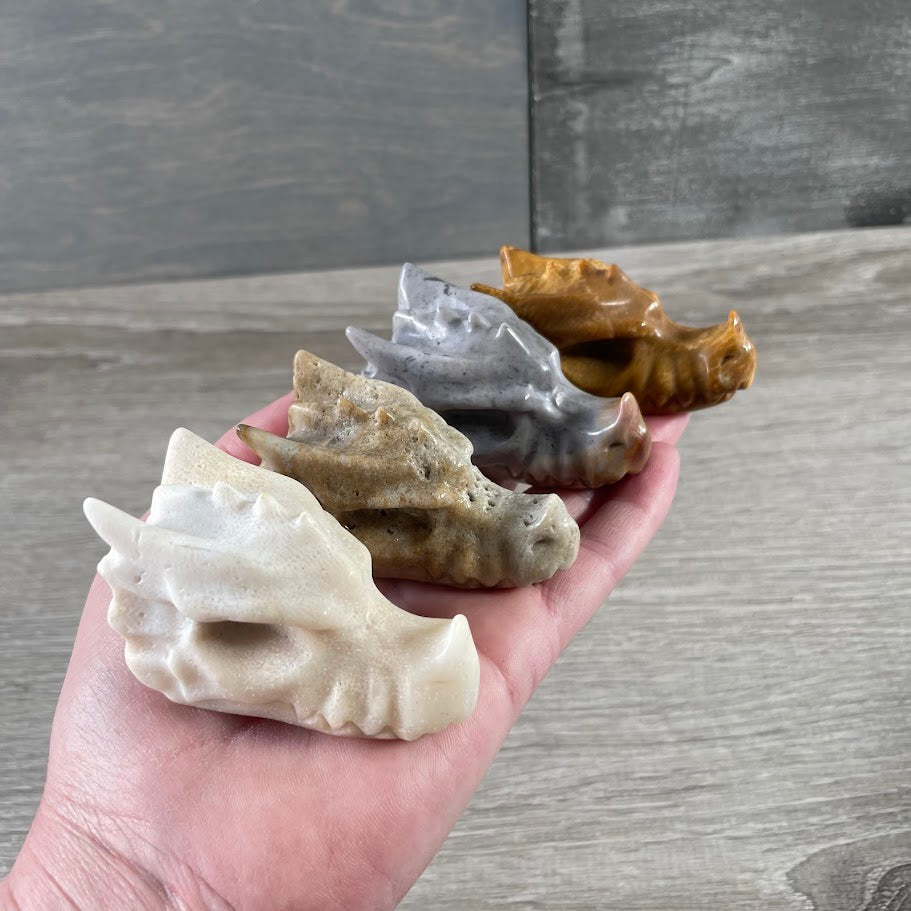 Fossil Coral crystal dragon skulls for bulk buyers