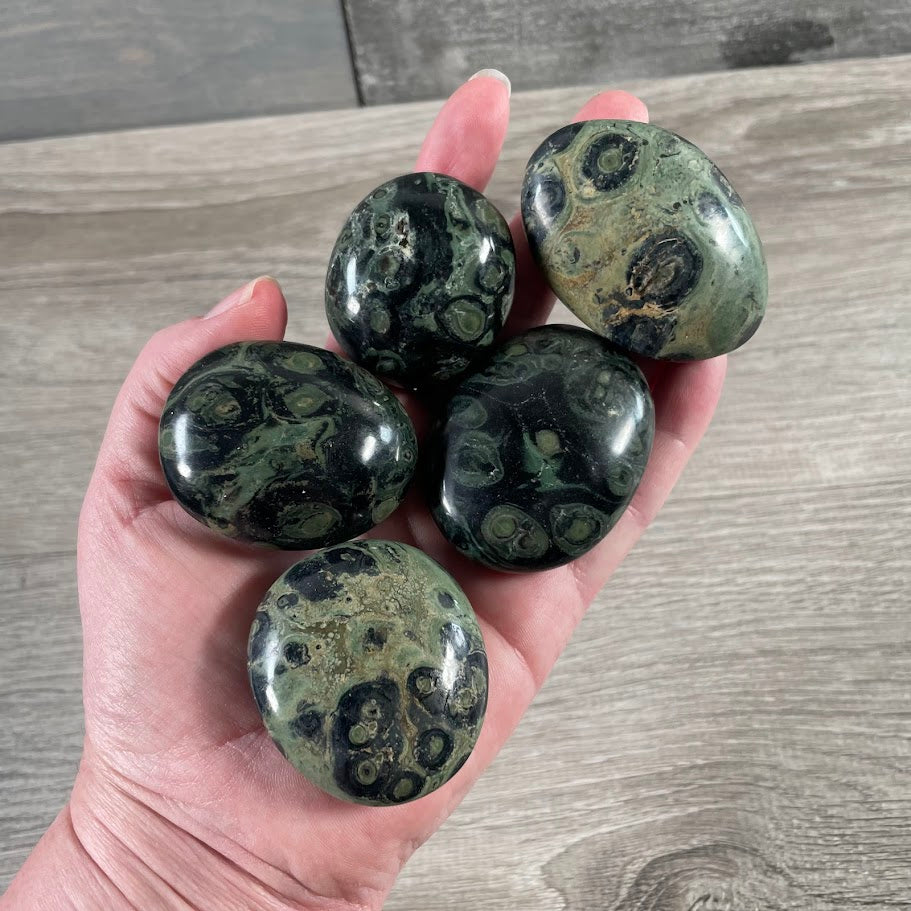Kambaba Jasper Bulk crystal palm stones perfect for metaphysical shops