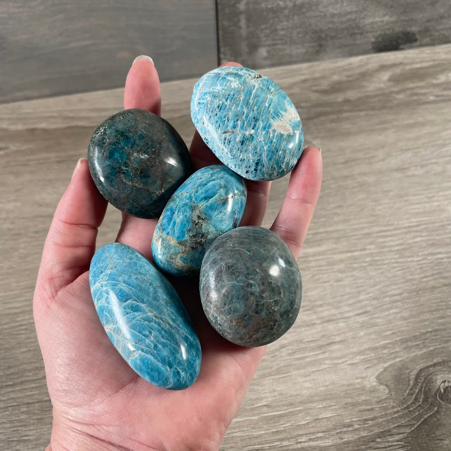 apatite gemstone palm stones in vibrant colors