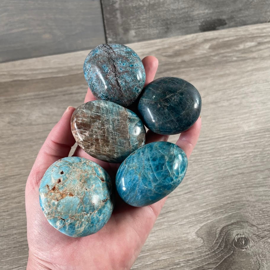 wholesale apatite crystal palm stones perfect for metaphysical shops