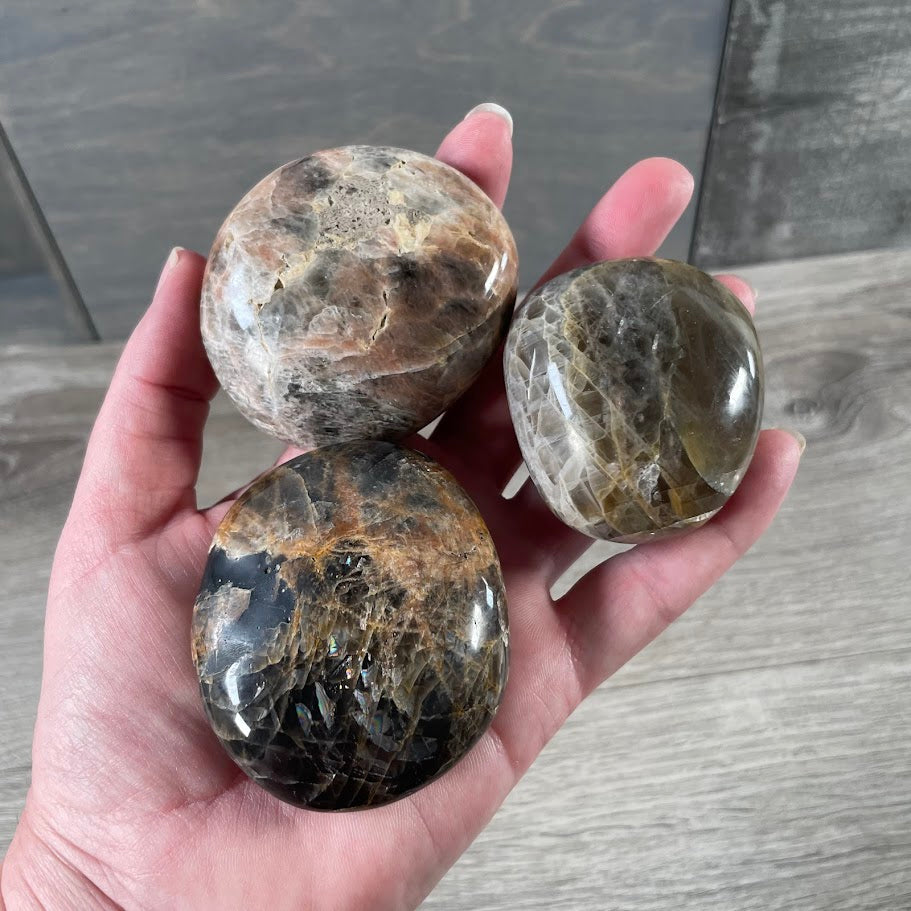 crystal shop wholesale palm stones black moonstone