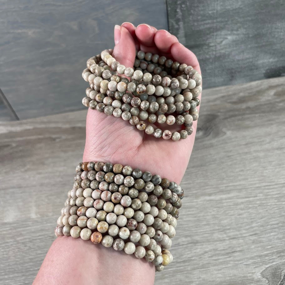 Fossil coral beaded bracelets 6mm