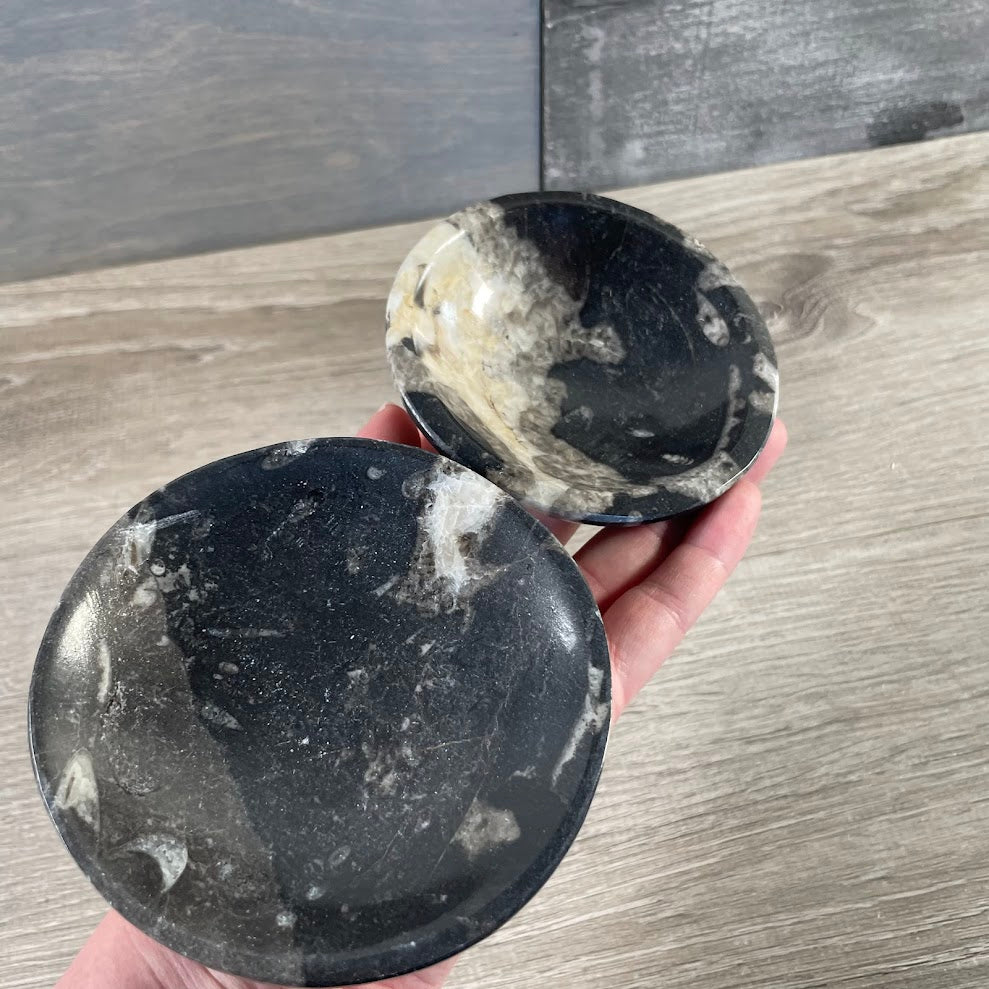 Ammonite Fossil & Gemstone Bowls in Unique Carved Shapes – Wholesale