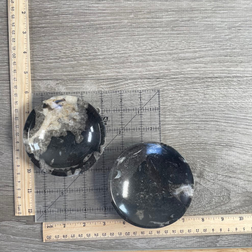 Ammonite Fossil & Gemstone Bowls in Unique Carved Shapes – Wholesale