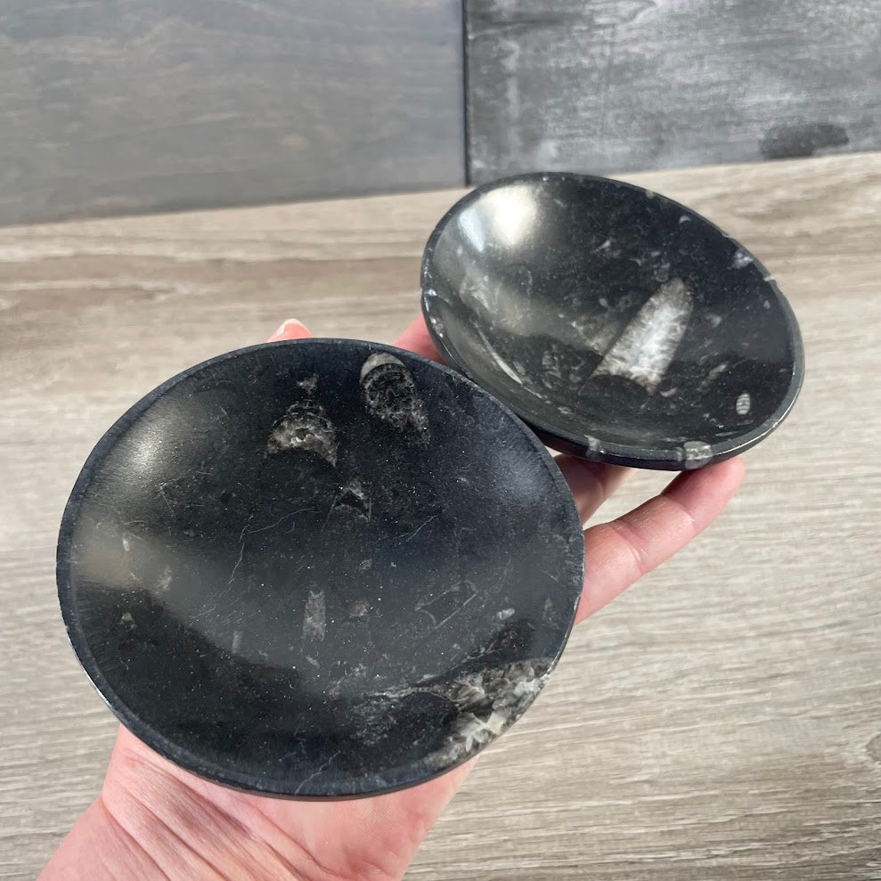 Ammonite Fossil & Gemstone Bowls in Unique Carved Shapes – Wholesale