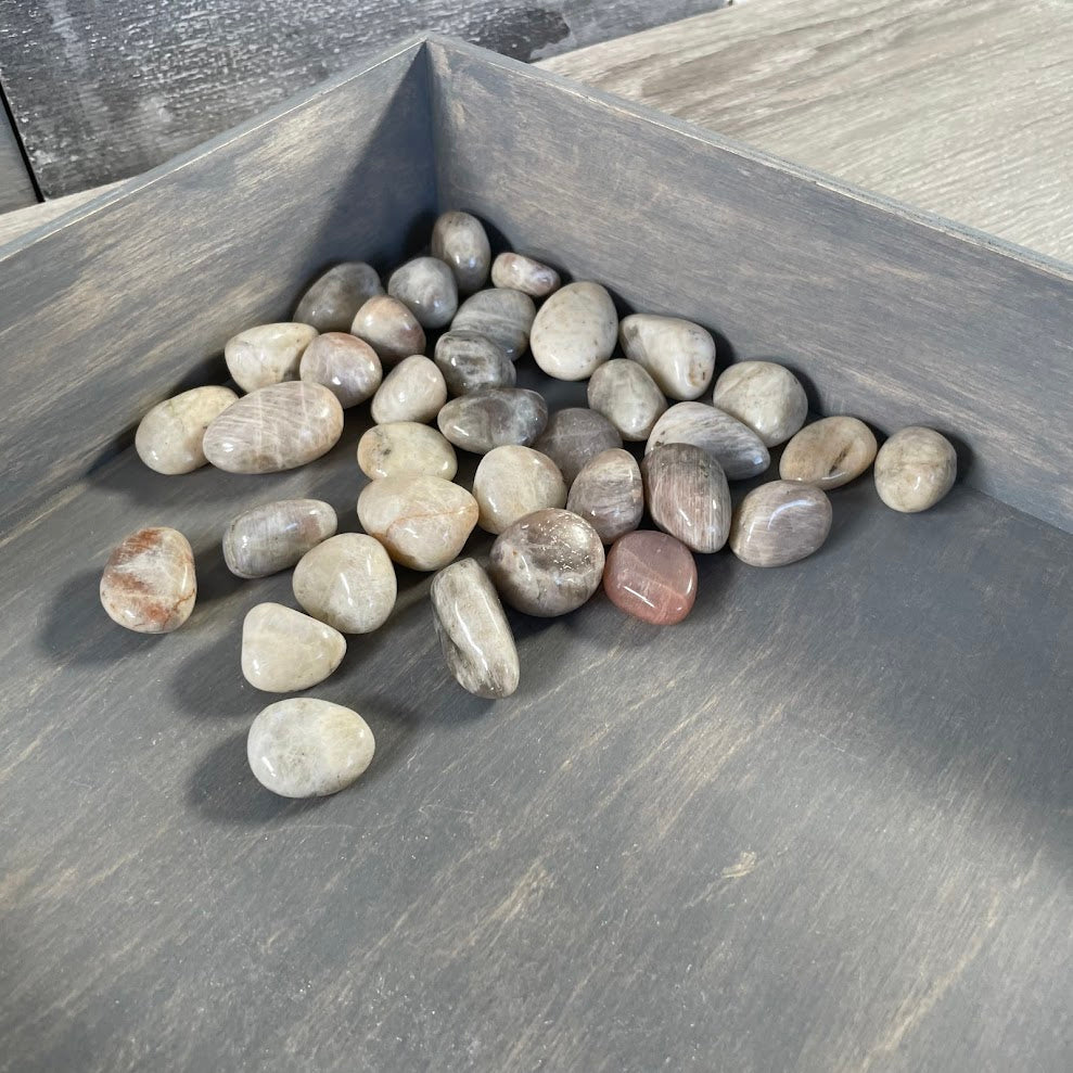 Black Moonstone Tumbled 1LB Lot