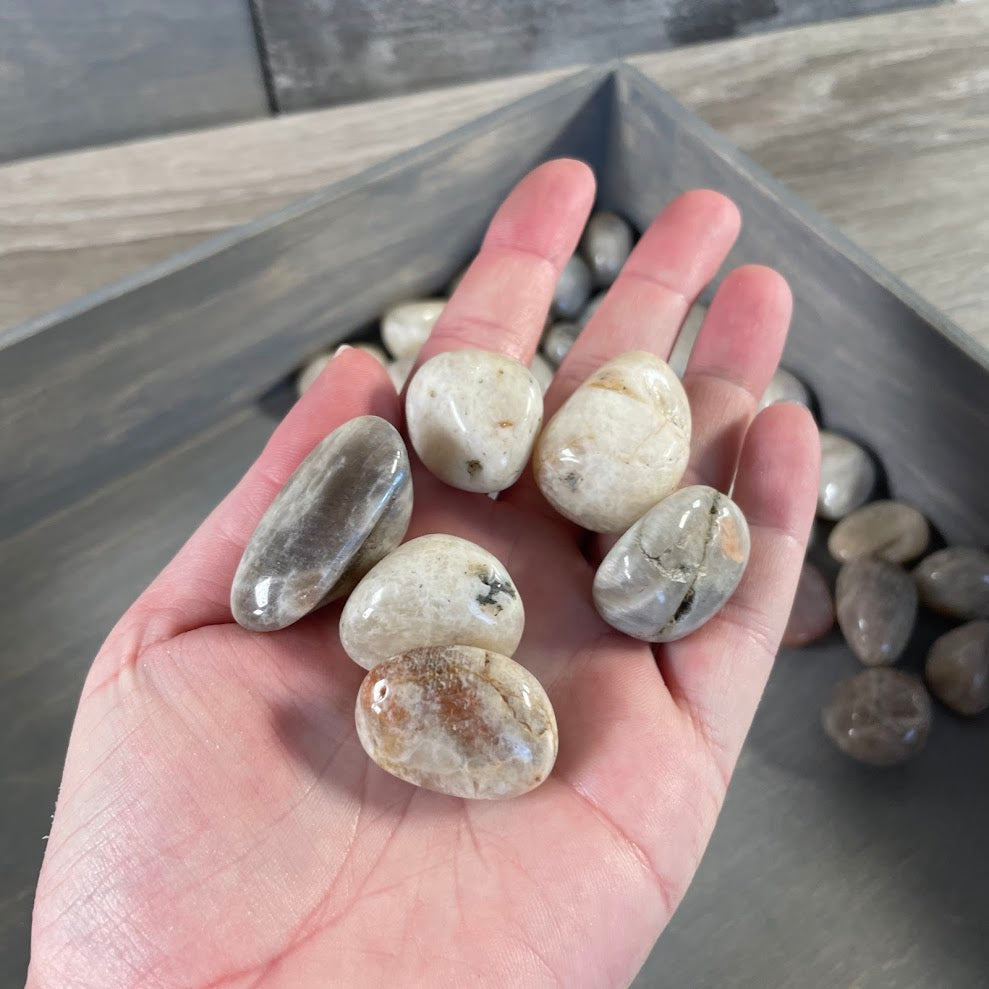 Black Moonstone Tumbled 1LB Lot