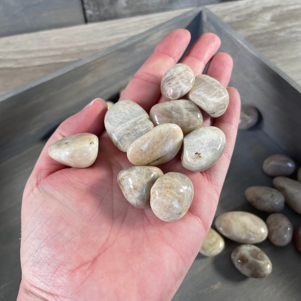 Black Moonstone Tumbled 1LB Lot