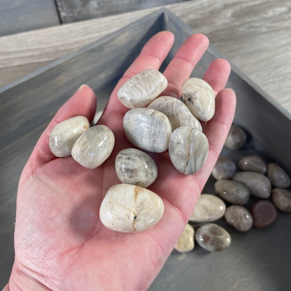 Black Moonstone Tumbled 1LB Lot