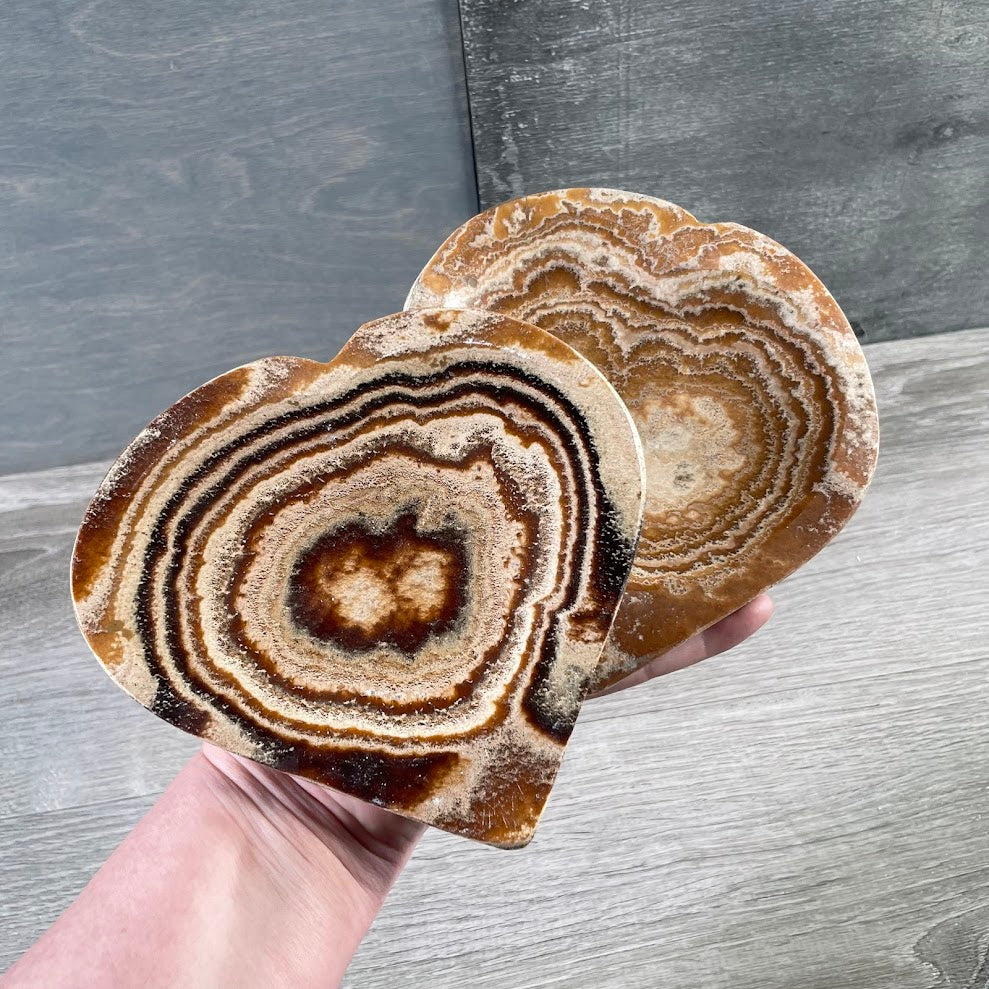 Ammonite Fossil & Gemstone Bowls in Unique Carved Shapes – Wholesale