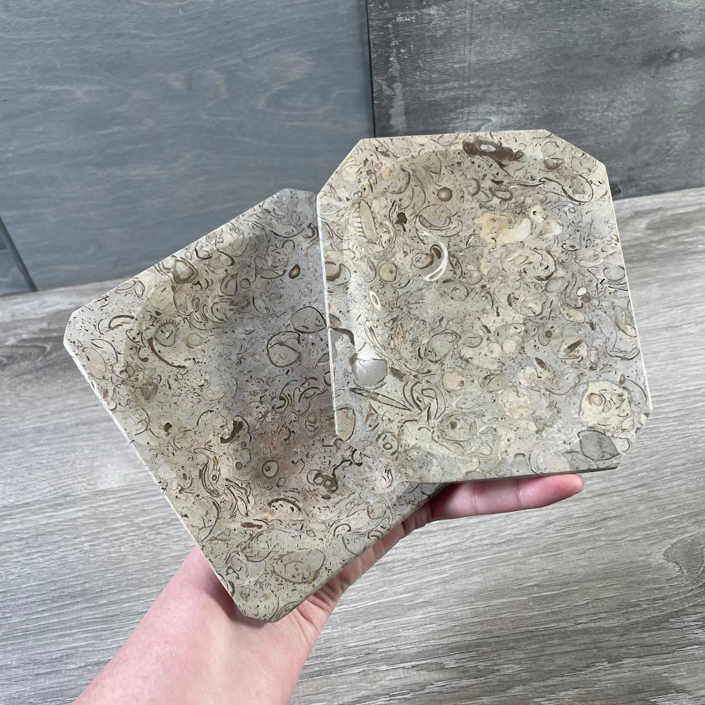 Ammonite Fossil & Gemstone Bowls in Unique Carved Shapes – Wholesale