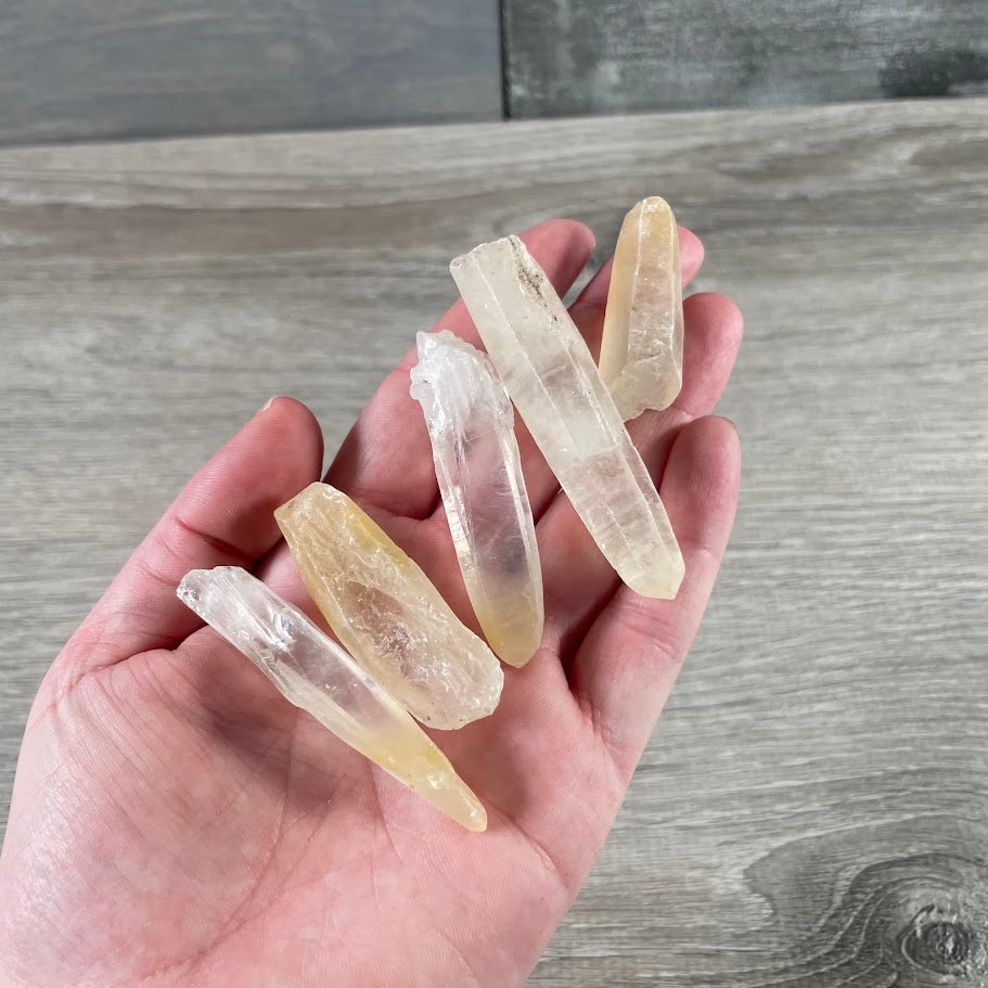 1 pound Rabbit Hair Quartz Points wholesale supply for gift stores
