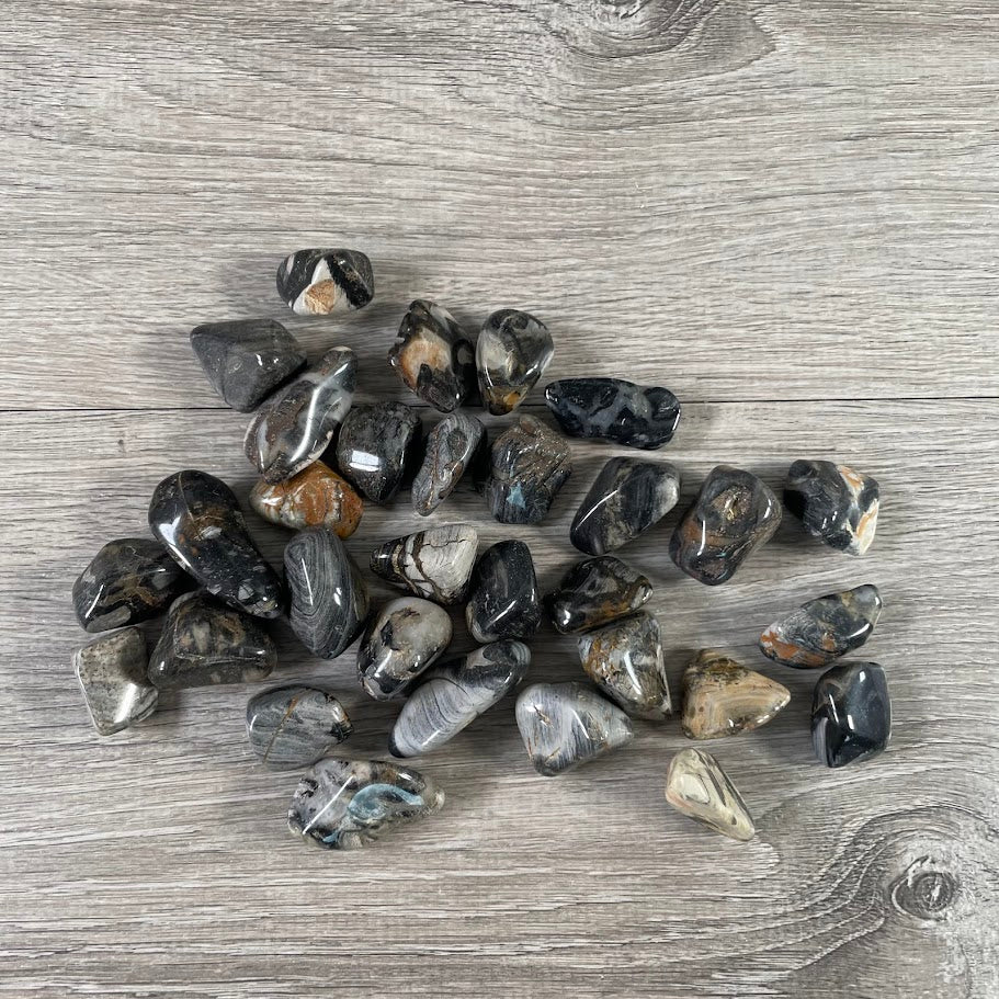 Close-up of polished Silver Leaf Jasper stones in shades of grey and brown