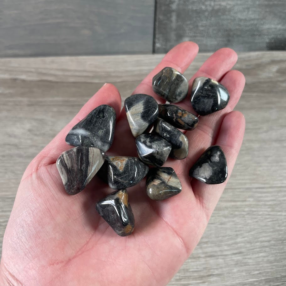 Silver leaf jasper healing stones bulk