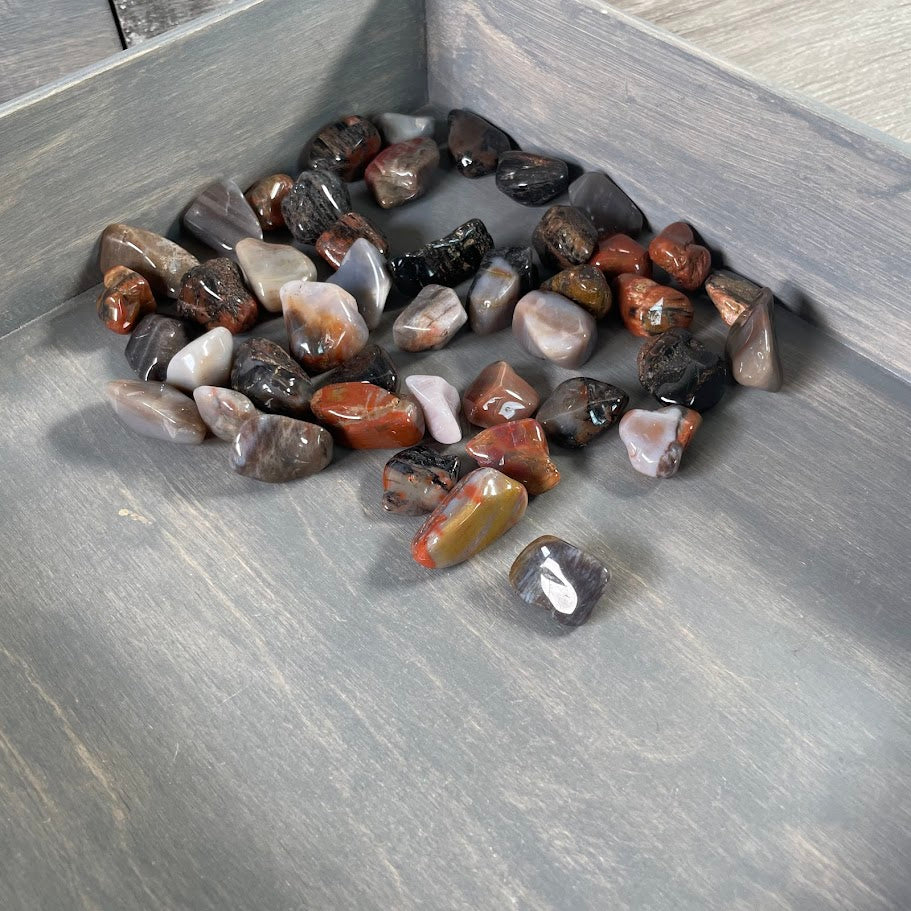 petrified wood crystal retail