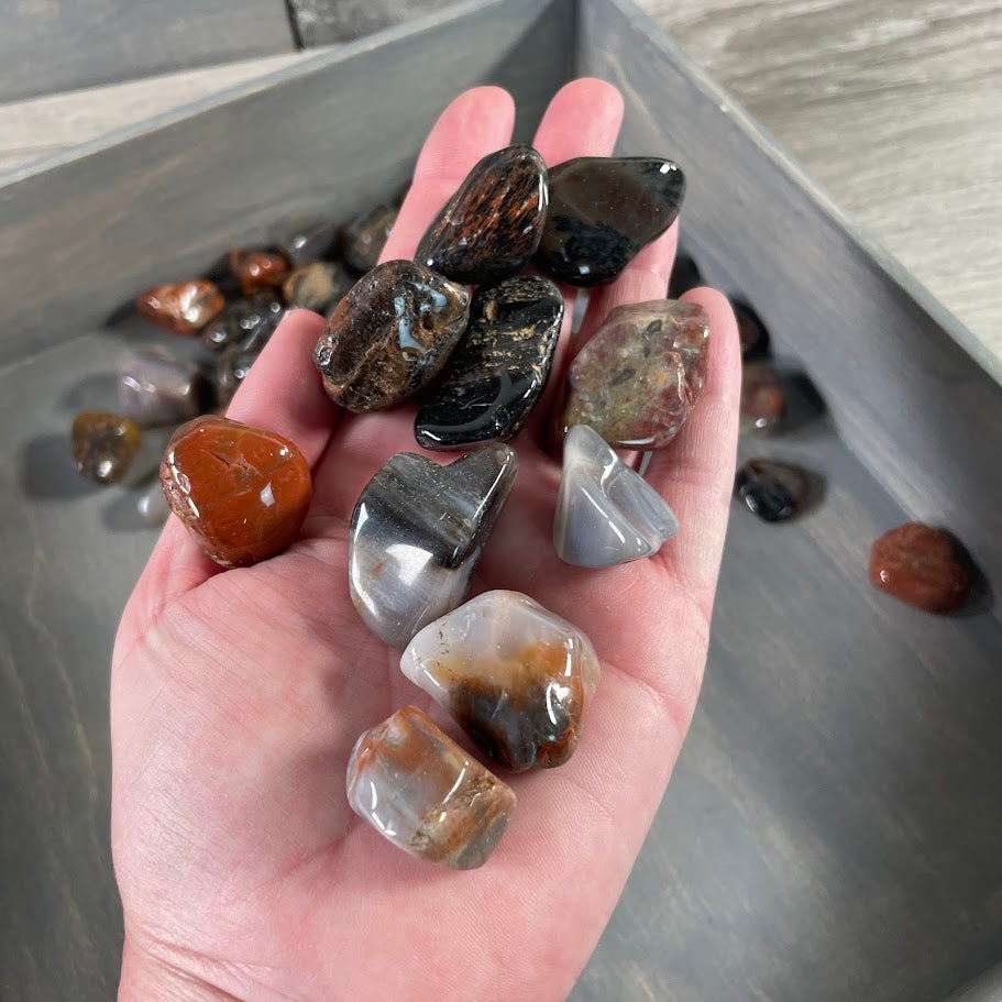 Bulk tumbled Petrified Wood for crystal retailers