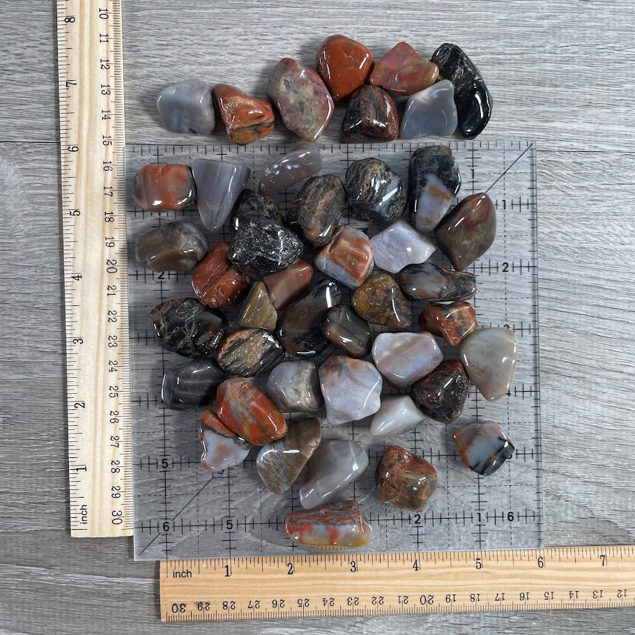 petrified wood wholesale