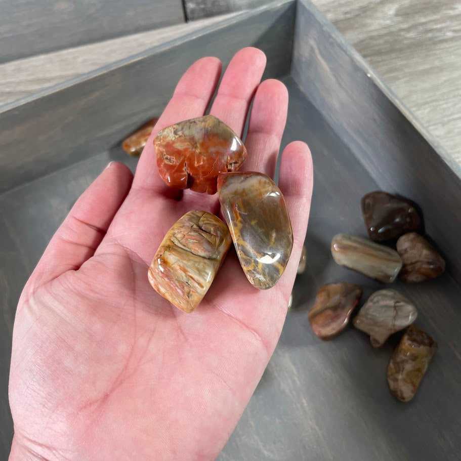 Bulk tumbled petrified wood crystals for metaphysical shops