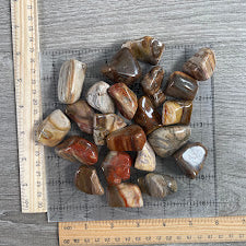 fossilized wood tumbled - wholesale