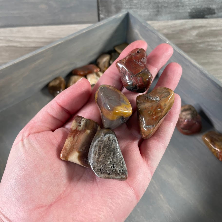 Petrified wood 1lb lot polished stones bulk crystal inventory