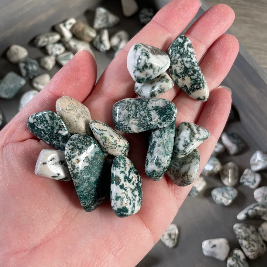 Tree Agate tumbled stones 1 pound bulk bag for wholesale crystal shops