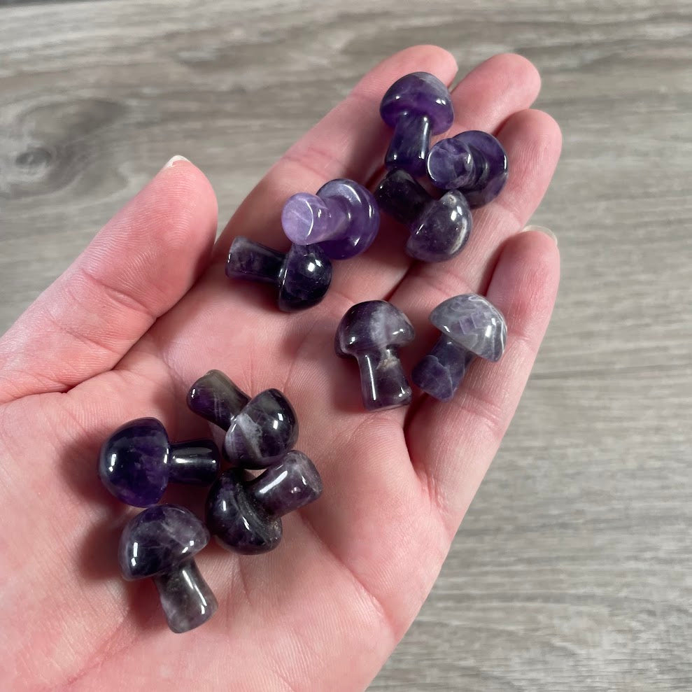 Small Gemstone Mushrooms – Wholesale Crystal Carvings for Gift Shops