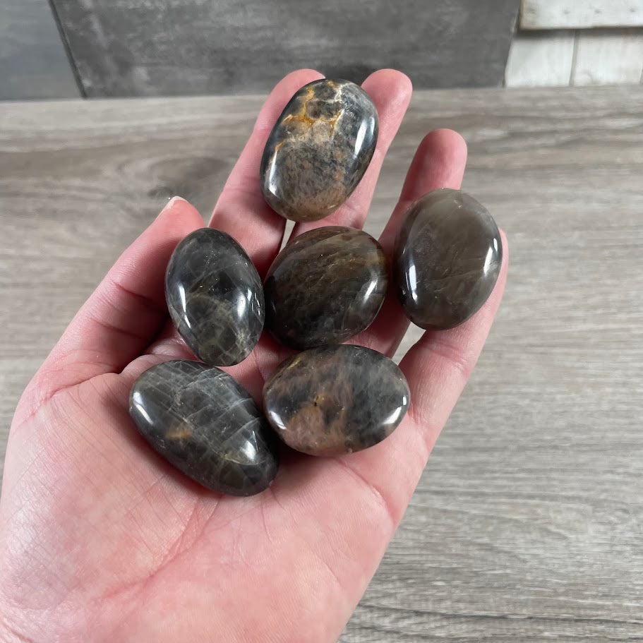 black moonstone palm stones wholesale by the ounce