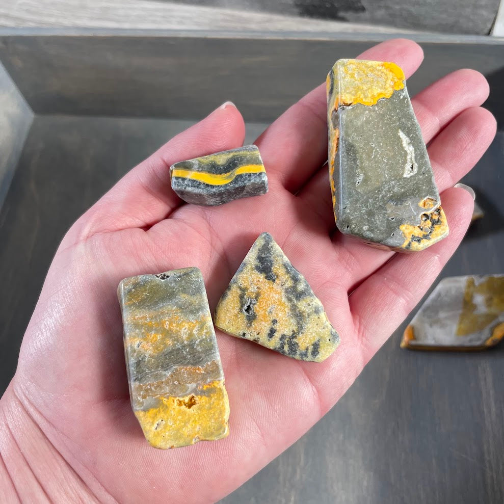 0.5 lb Bumblebee Jasper slab lot wholesale rock shop supply