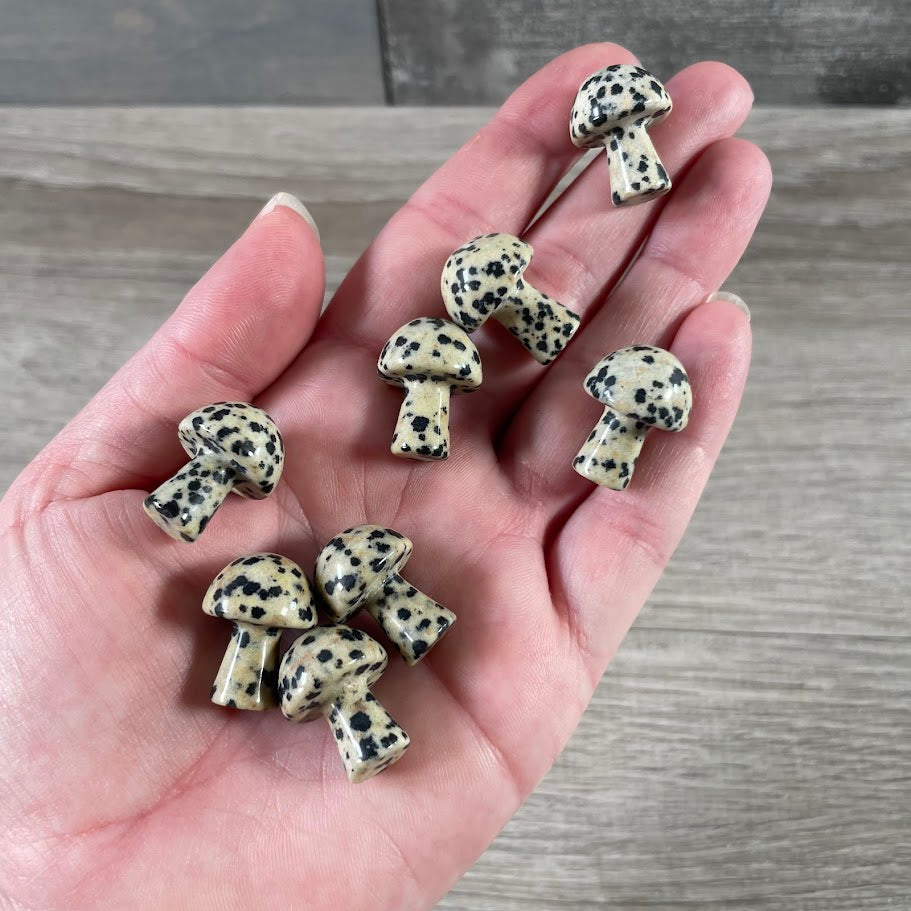 Dalmatian jasper small gemstone mushroom figurine for wholesale crystal shops