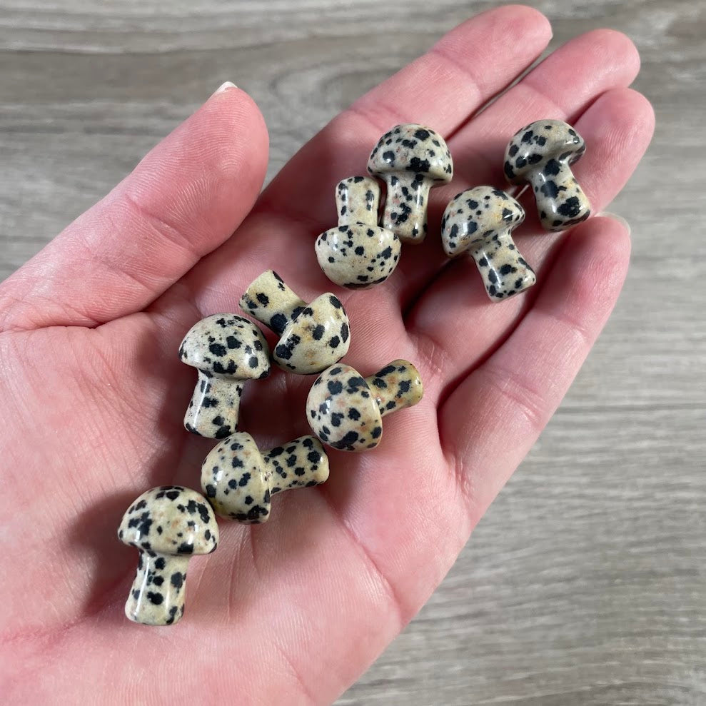 Small Gemstone Mushrooms – Wholesale Crystal Carvings for Gift Shops