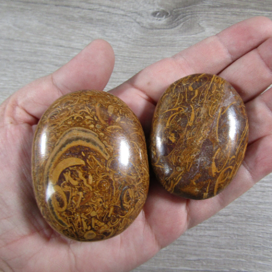Miriam Jasper Natural Gemstone Palm Stones in Freeform Style