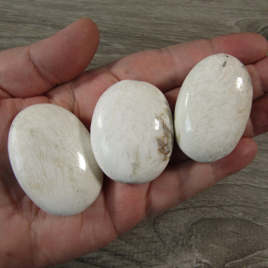 Scolecite Natural Gemstone Palm Stones for Retail