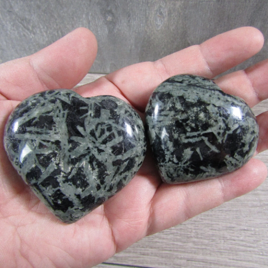 chrysanthemum stone natural hearts for rock shops