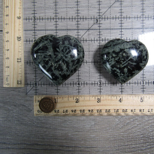 chrysanthemum stone fossil large hearts for bulk purchase