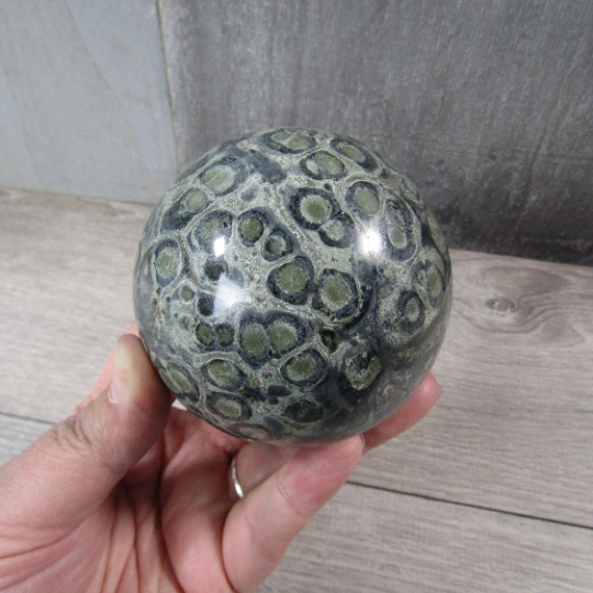 Kambaba Jasper Sphere – Large Display Size for Crystal Shops
