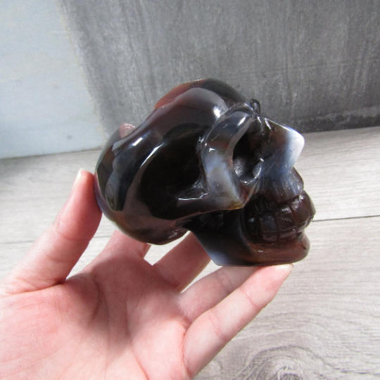 druzy agate gift store crystal skull