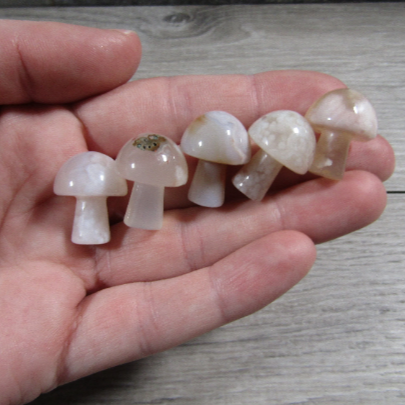 Flower agate mushrooms for fairy gardens bulk