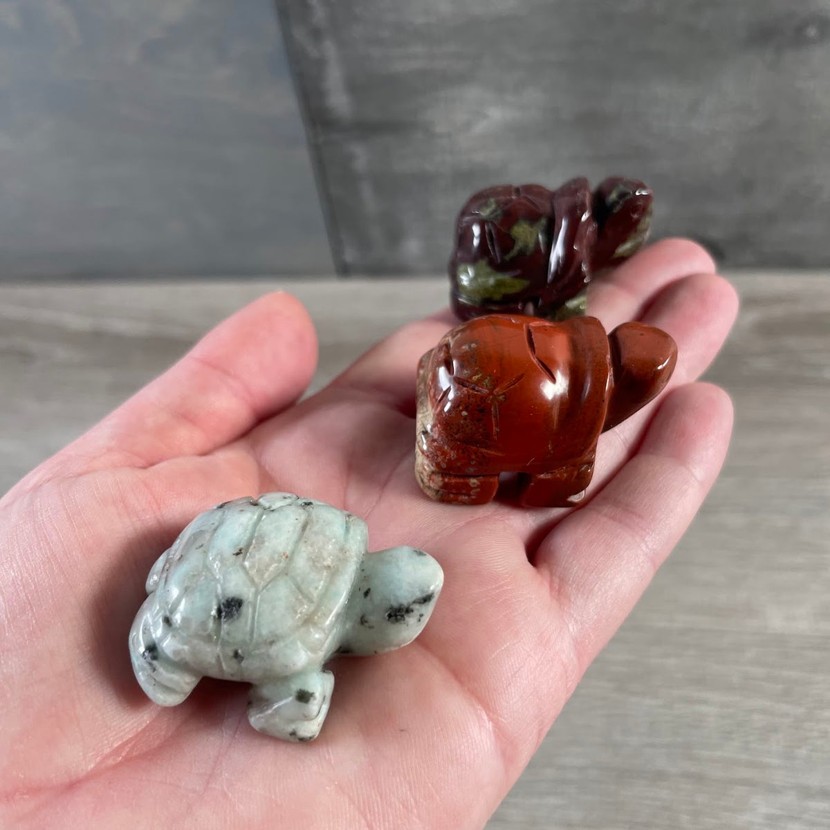 Medium crystal turtle carvings in assorted stones for wholesale gift shop inventory