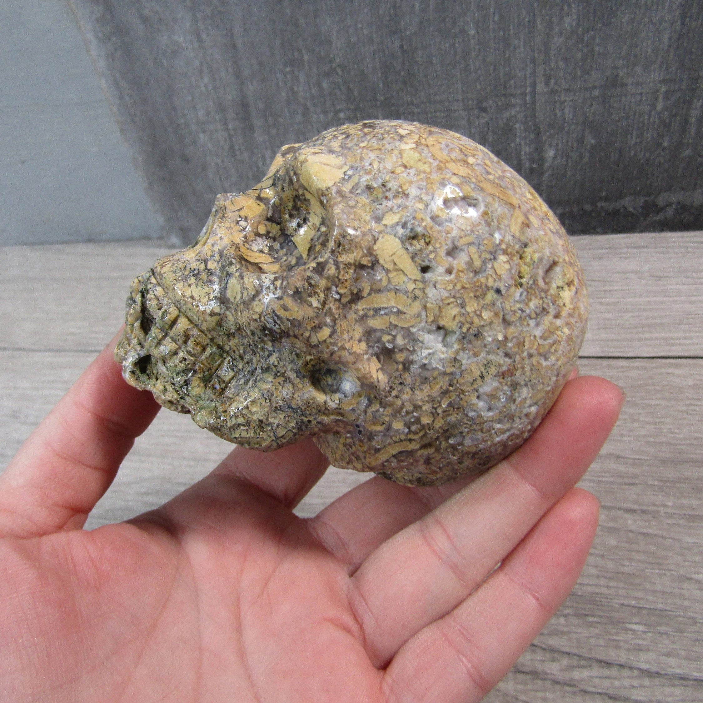Large Gemstone Skull for Crystal Retail and Gift Shops